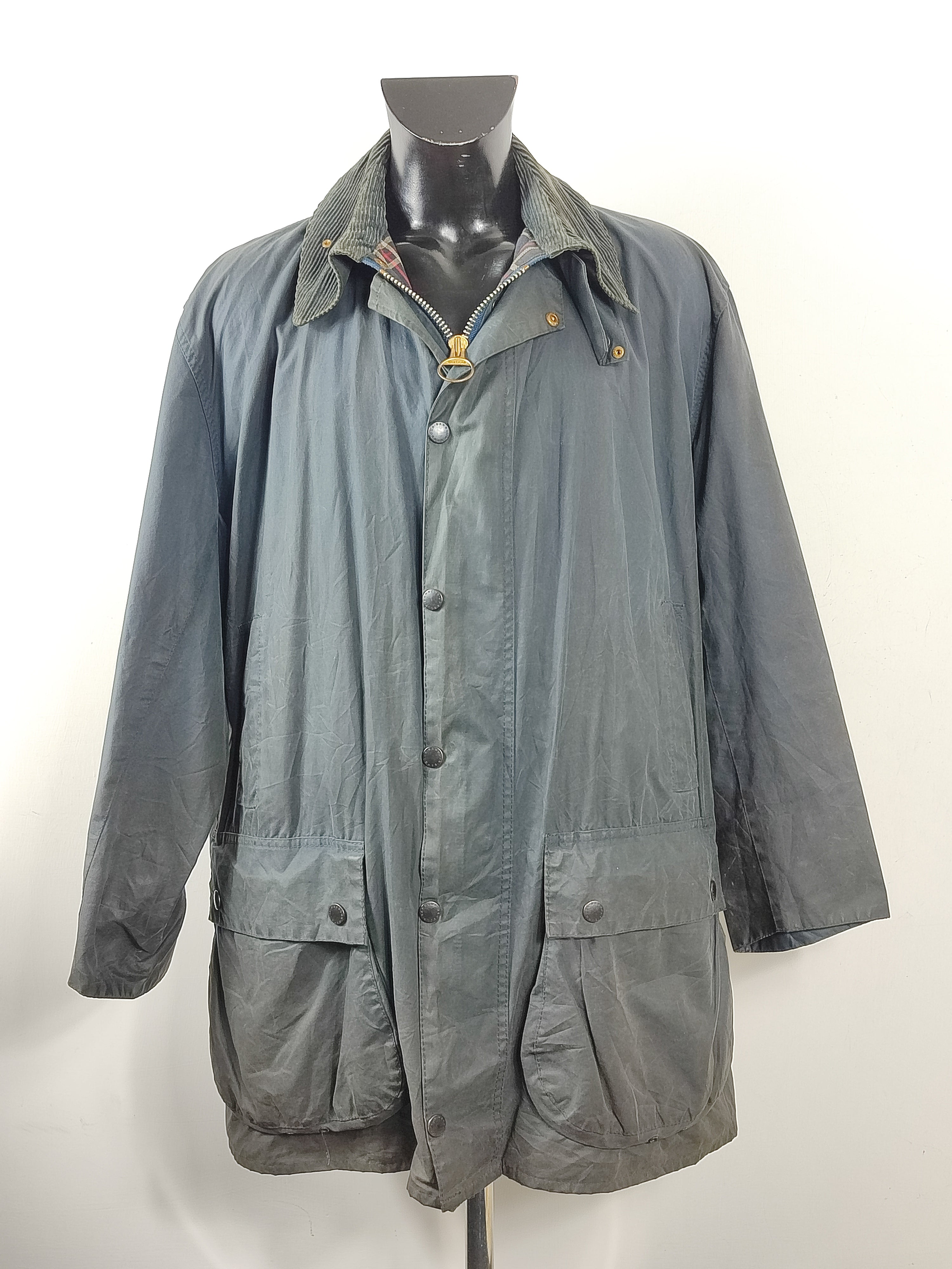 Barbour border sage best sale